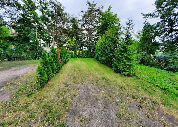 Dom Artysty Апартаменты *